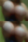 Local nude girls