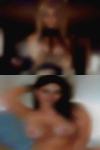 Hermaphrodite