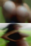 Sexy horny milfs